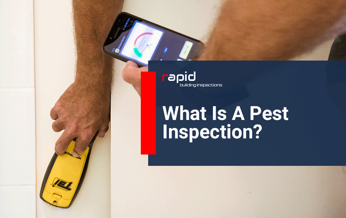 what is a pest inspection